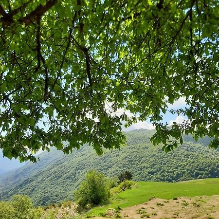 Отель Bujtina E Tomorrit Ujanik Экстерьер фото